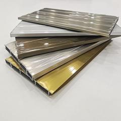 Aluminium Profile for Pinch Plate